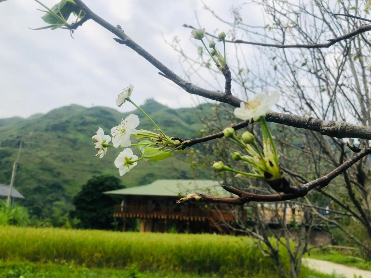 Wild Orchid- Lan Home Làng Cac Buitenkant foto