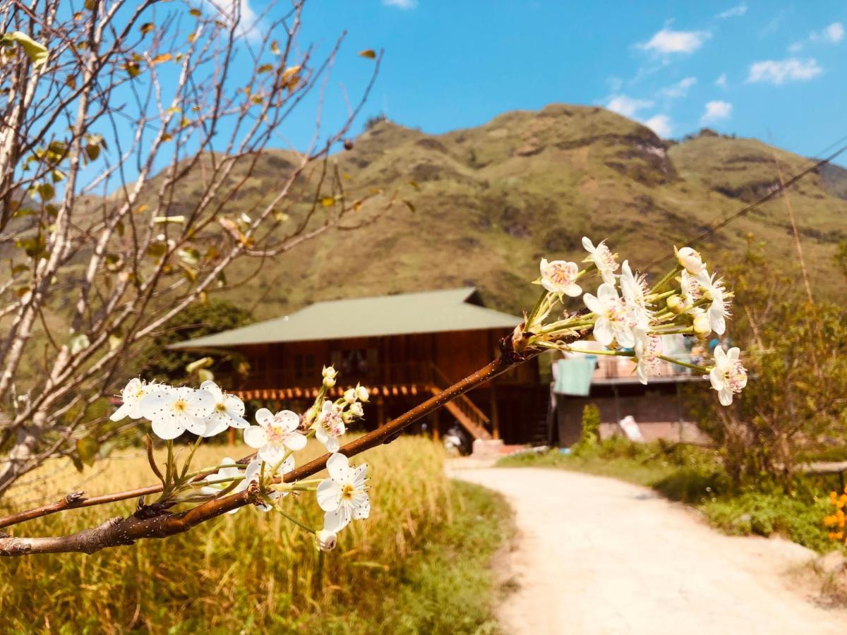 Wild Orchid- Lan Home Làng Cac Buitenkant foto