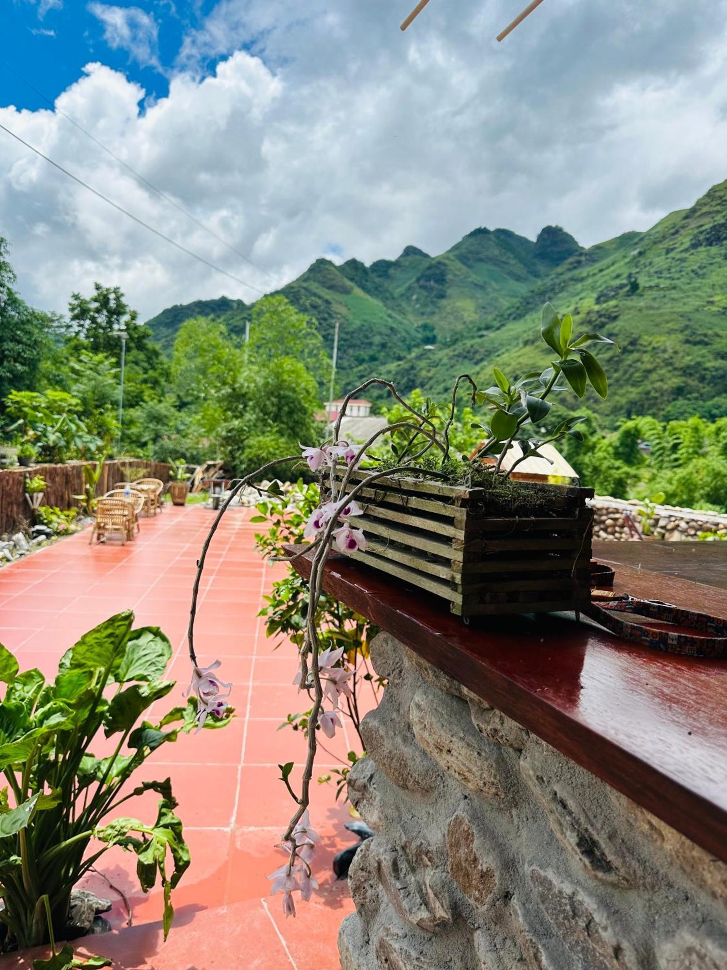 Wild Orchid- Lan Home Làng Cac Buitenkant foto