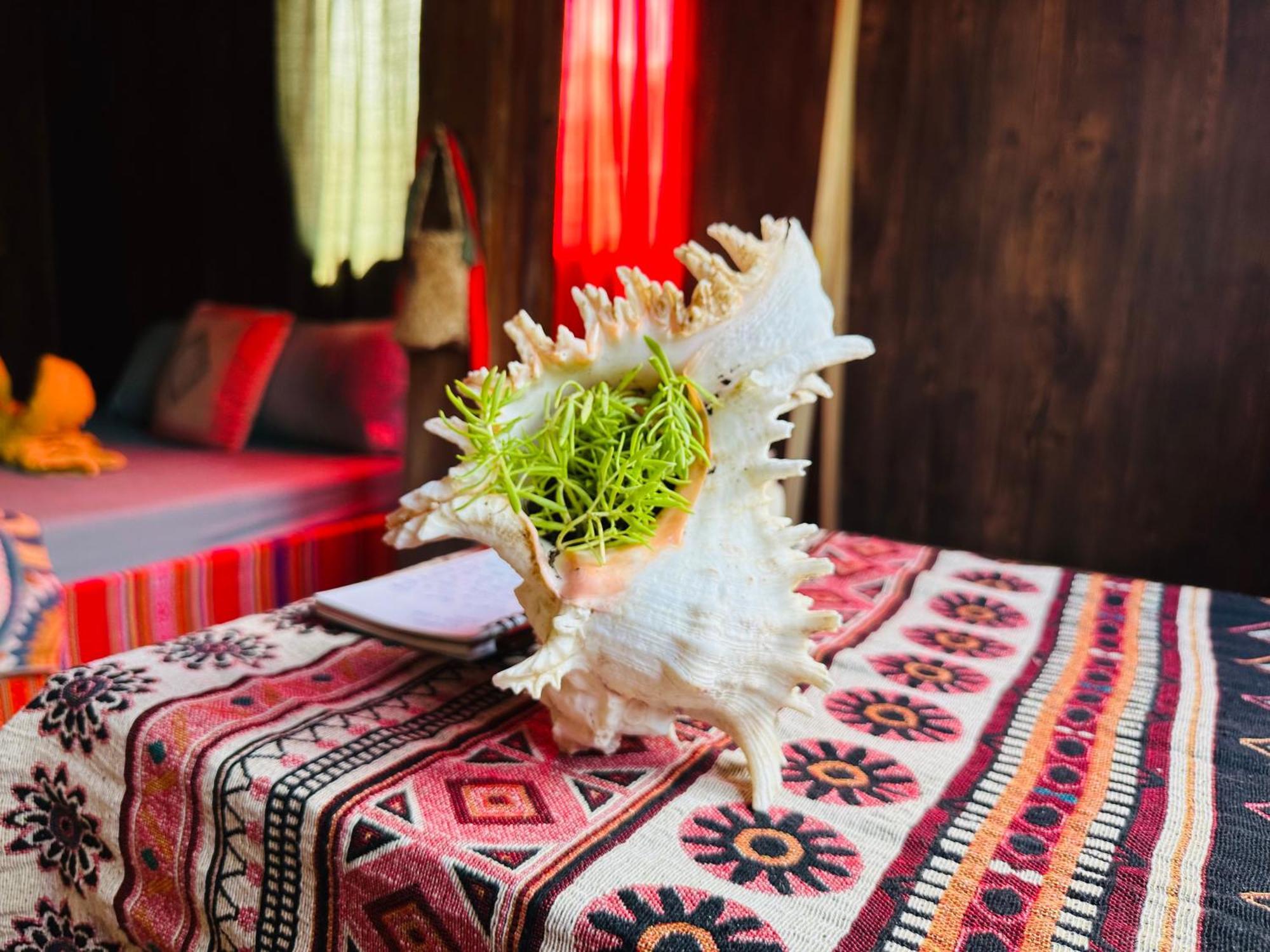 Wild Orchid- Lan Home Làng Cac Buitenkant foto